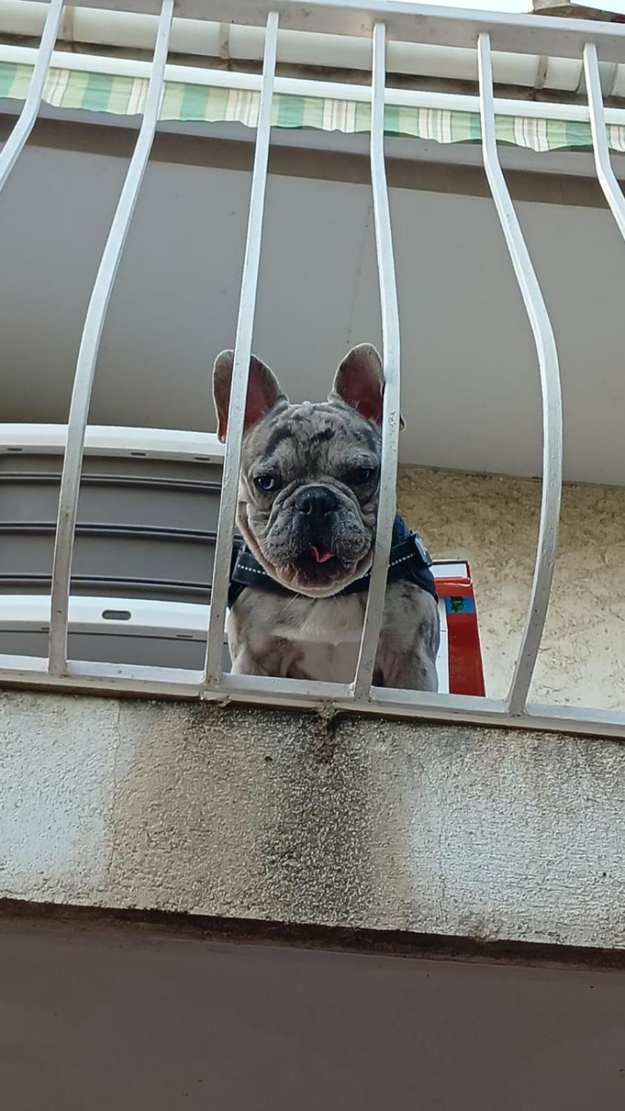 Casa D'Amore 拉加尔德 外观 照片